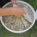 다다한정식 이미지