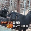 홍기농장 이미지