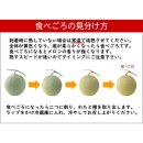 일본 삿포로 유바리 멜론 검역 방법/질문/한국 반입 방법 총정리