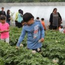 죽왕초등학교 이미지