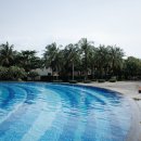 돌고래헬스클럽 | 푸꾸옥 여행 풀만리조트 아이랑 놀기 내돈내산