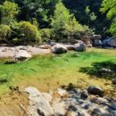 산골황태삼대식당 이미지