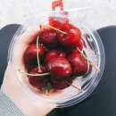 미토차(MITOCHA) 네이버블로그
