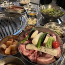 한마음 애견용품 이미지