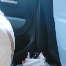 고로고로펫 이미지