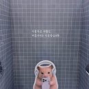 신세계백화점 | 김햄찌 팝업 강남 신세계 백화점 리얼 후기