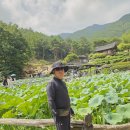 산청 수선사 이미지