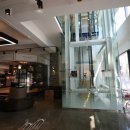 올리몰스 펫샵 이미지