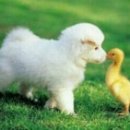 친구처럼B 이미지