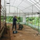 승희축사 이미지