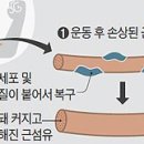 해밀턴짐