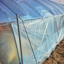 한농농약종묘사 이미지