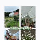 농업회사법인제주오라(유) | 애견동반 제주여행 ( 자드부팡, 이디국수 애월본점, 궷물오름,메밀꽃오라)