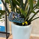 더사운드가톨릭보청기 대구센터 이미지