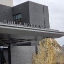 신라부분정비 | 강릉 신라모노그램 2박 후기｜연휴 호캉스 솔직 리뷰