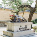 설렘여행사 - 천안시 서북구 월봉8길 19 | 설렘여행사