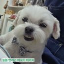 늘봄아로마테라피 이미지