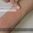 로즈피치 티스토리