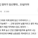 엄마가 임신햇대 51살이야 이미지