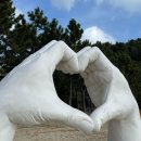 율포회센터 이미지