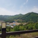[속초당일여행1 ] 속초해수욕장 / 365붉은대게공판장 (홍게찜가격) / 생활의 달인 단천면옥 후기
