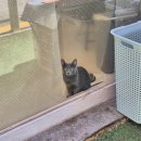 오늘도 편안하개 이미지