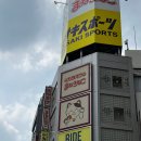 휴먼마트 | 시부야 하라주쿠 빔즈 니들스 단톤 니코앤드 휴먼메이드 네이버후드 캐피탈 | 도쿄타워 웨딩스냅 촬영 후기