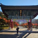 불갑사 관광안내소 이미지