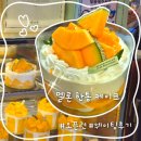 성심당 멜론한통케이크 주말 웨이팅 실패후 재도전 오픈런 성공 후기