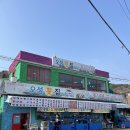 행암로-2 | 경남 진해_바다 앞 야장 감성 폭발! 고양이를 좋아한다면 “오성횟집” 모듬회 내돈내산 찐후기!