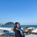 황어장터 화장실 | 강원도 양양 휴휴암 가볼만한 곳 겨울여행 물고기떼 해달 청동오리