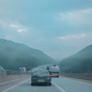 별마로 농장 | 영월 가볼만한곳 법흥계곡 캠핑장 추천