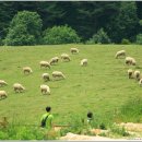 풍경목장 이미지