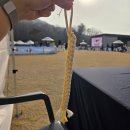 도그도그샵 | [강아지숲] 강아지숲 도그페스타 뒤늦은 후기