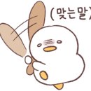 흥도많은고양이