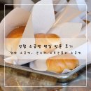 성호목장 | [영월] 영월 소금빵 평일 방문 후기 (담백 소금빵, 곤드레 고르곤졸라 소금빵)