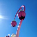 남화농장 | 진도여행 20220226