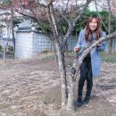 동미 이미지