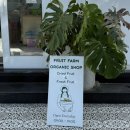 푸룻팜(Fruit farm)