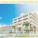 국가산단웰빙온천 | EM 웰니스 구라시노 리조트: 오키나와 호텔 추천! 꿀잠 후기