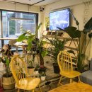 제일약방 이미지