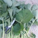 팔봉농원 이미지