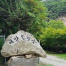숲캠핑장 이미지