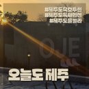 하얀크린하우스 | [제주도] 제주서쪽 오늘도제주 룸6 후기 (제주도독채펜션, 제주도풀빌라,감성숙소, 조식, ROOM6)