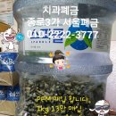 이젠치과기공소 이미지