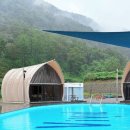 아이비비드 이미지