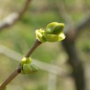 남부농원 이미지