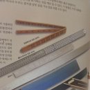젬뱅이 이미지