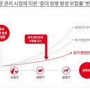 로얄퍼피 이미지