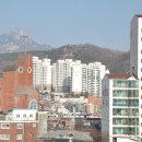 삼부당구장 이미지